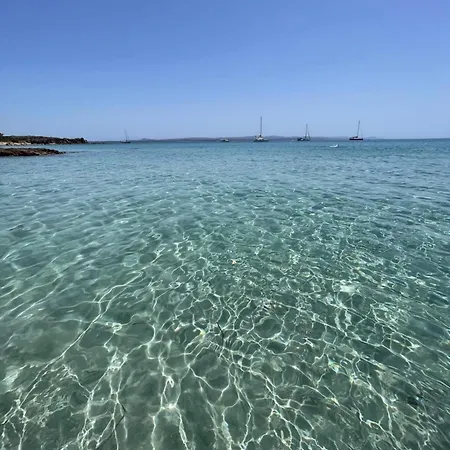 Casa Kant Apartament