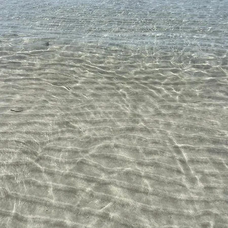 Apartament Casa Kant